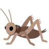 Emoji Cricket 🦗 image - Google Noto Color style