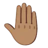 Raised Back Of Hand: Medium Skin Tone Emoji 🤚🏽 image - Google Noto Color Animated style