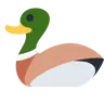 เป็ด Emoji 🦆 image - Twitter / X (Twemoji) style