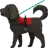 Service Dog