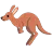 Kangaroo