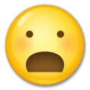 Frowning Face With Open Mouth