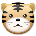 Tiger Face