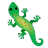 Lizard