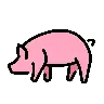 Emoji Maiale 🐖 image - OpenMoji style