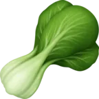 잎이 많은 녹색