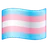 Transgender Flag