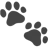 Paw Prints