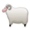 Ewe