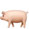 Emoji Maiale 🐖 image - Apple style