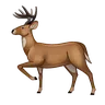 Emoji Cervo 🦌 image - Telegram style