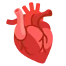 Anatomical Heart Emoji 🫀 image - Google Noto Color style