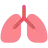 Lungs