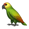 Emoji Pappagallo 🦜 image - Telegram style