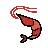 Shrimp