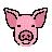 Pig Face