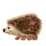 Emoji Riccio 🦔 image - Telegram style