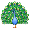 Emoji Pavone 🦚 image - Samsung style