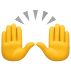 Emoji Person Raising Both Hands In Celebration 🙌 image - Facebook Meta style