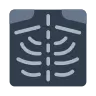 Röntgenbild Emoji 🩻 image - Tossface style