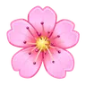 Cherry Blossom Emoji 🌸 image - Telegram style