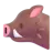 Boar